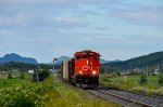 CN 9584 leads 559 in Saint Simon